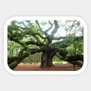 The Angel Oak Tree in South Carolina Sticker